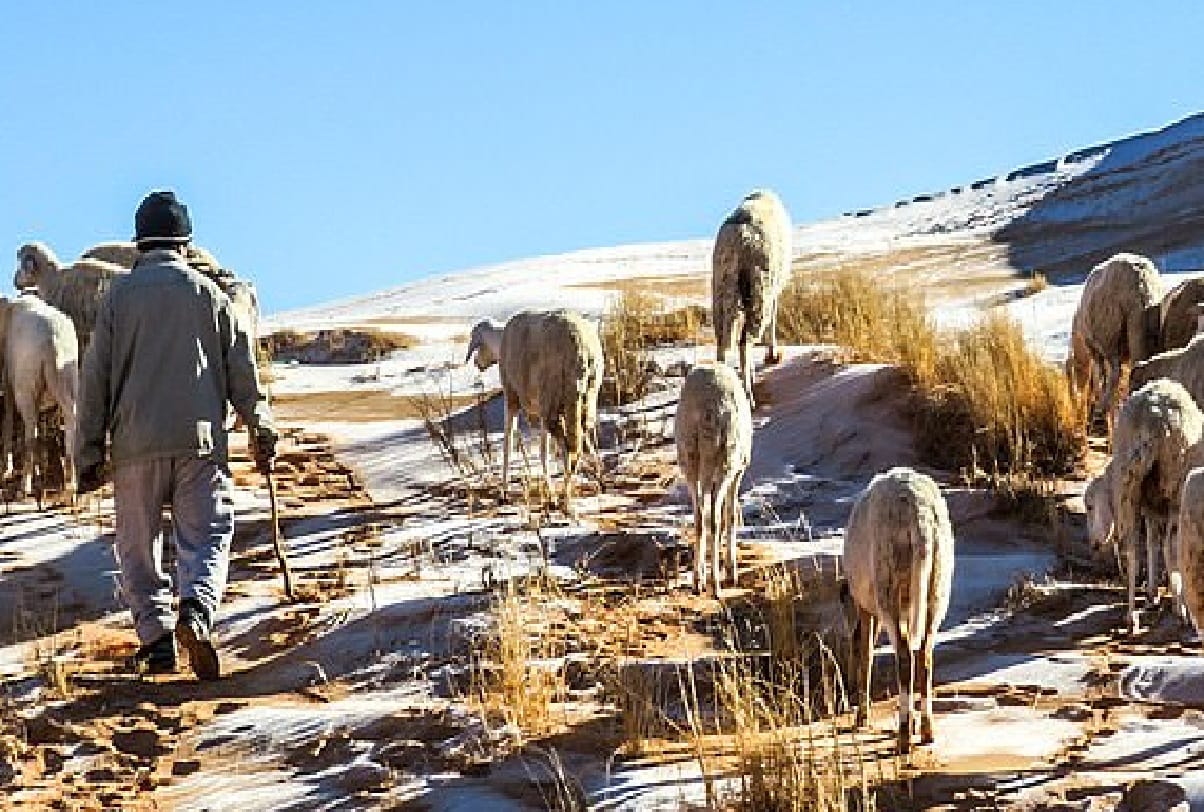world weather report Ice blankets the Sahara desert while snow falls in Saudi Arabia where temperature has dropped to minus 2C