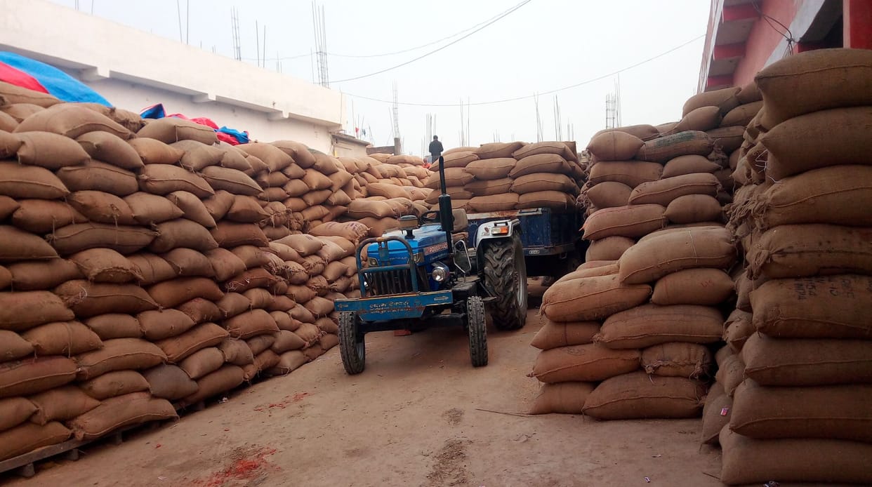 Paddy dump at Hussainganj purchasing center, purchase affected