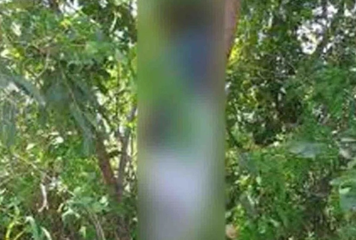 Dead body of B.Ed student found hanging from tree