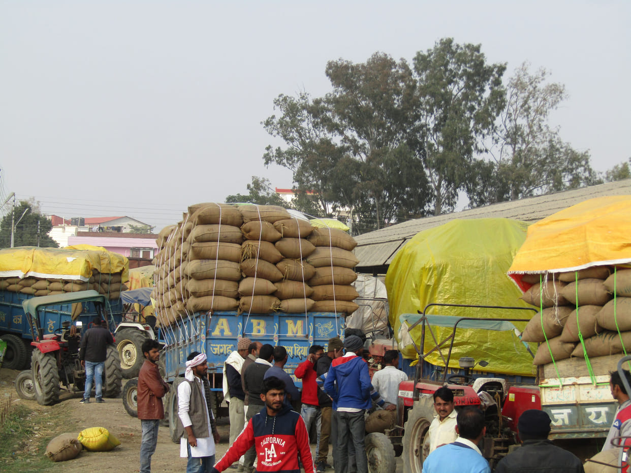 The farmers have been waiting for their turn for 15 days at the paddy purchasing center