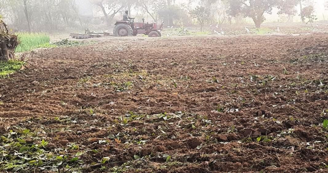 30 thousand fine for cutting green trees in Muzaffarnagar