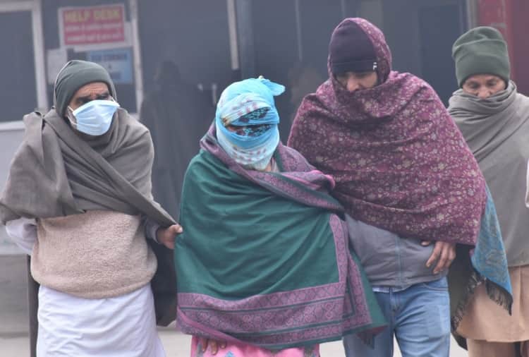 Husband murdered his wife in Bhiwani of Haryana