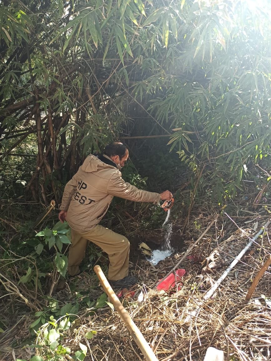 Owl in Bhota and crow found dead in Ropdi