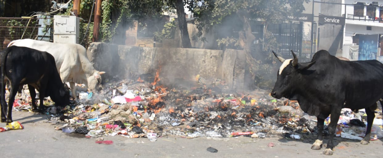 Garbage being burnt openly, how will pollution stop