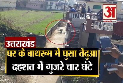 Uttarakhand: Leopard enters in house Toilet in Bageshwar Video