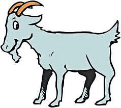 Two goats died in Chhatina due to unknown disease