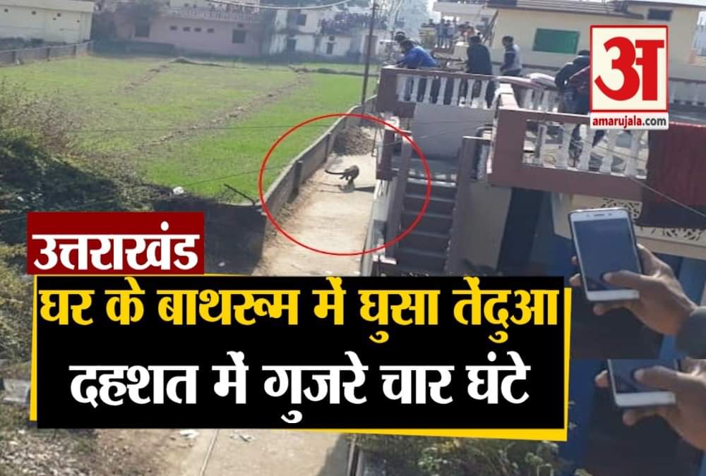 तेंदुआ घर में घुसा