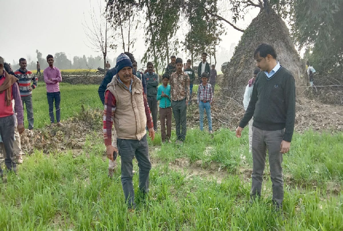 Photo of tiger captured in camera in village Ibrahim Nagla in shahjahanpur
