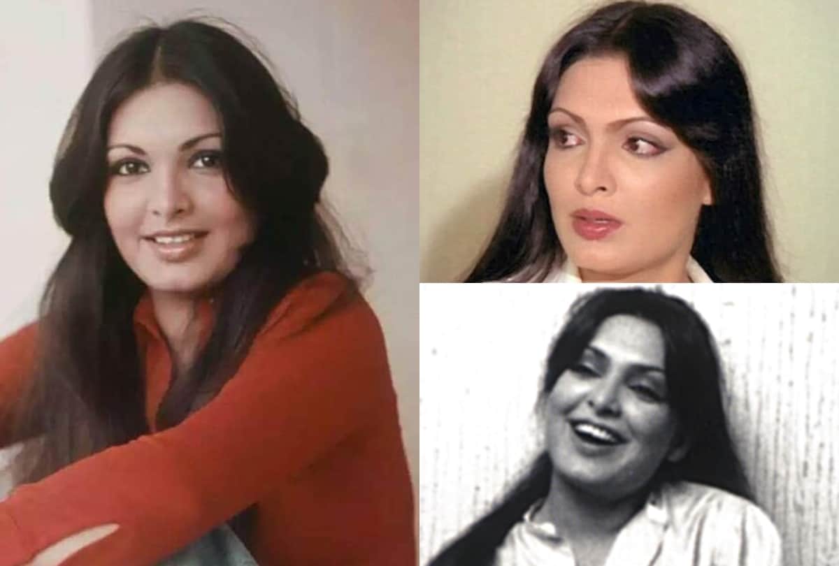 Parveen Babi Remembering her 10 best roles first indian to be on cover of Time magazine