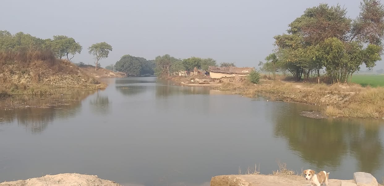 After the breaking of the embankment of the Mathsaraiya Minor, the puddle filled with canal water
