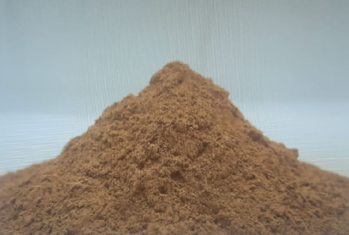 Immunity boosting powder to be fought with Coronavirus, will come to market soon