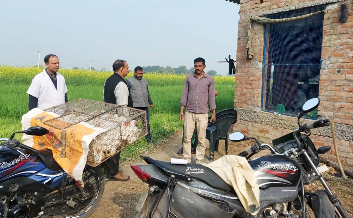 health,inspaction,hamirpur news,hen