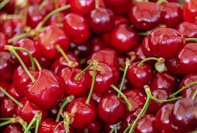 health-benefits-of-cherry-in-hindi-amar-ujala-hindi-news-live