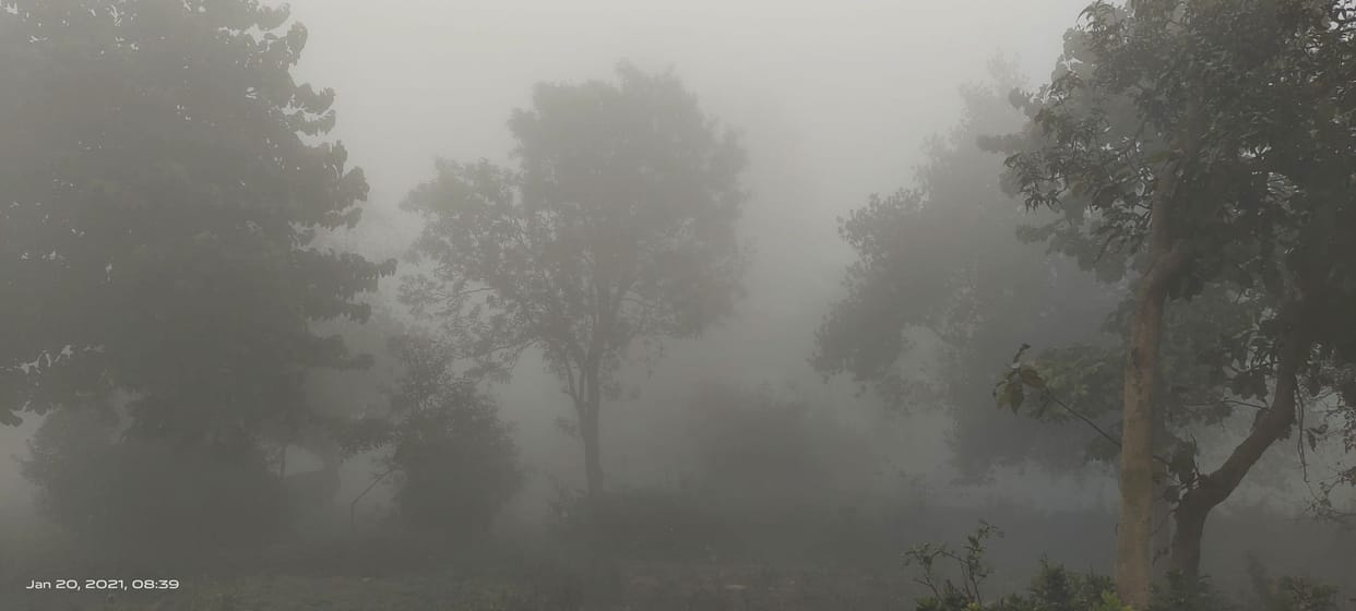 Melting has increased in morning and evening due to cold wind in Agra