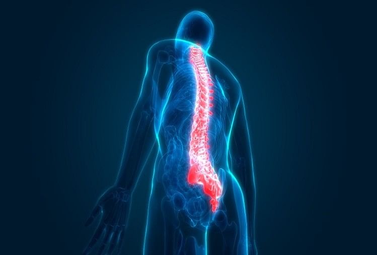 ऐसे पहचान सकते हैं रीढ़ की हड्डी में होने वाले दर्द को, ये हैं लक्षण और  बचाव - This Is How You Can Identify Spinal Pain - Amar Ujala Hindi News Live