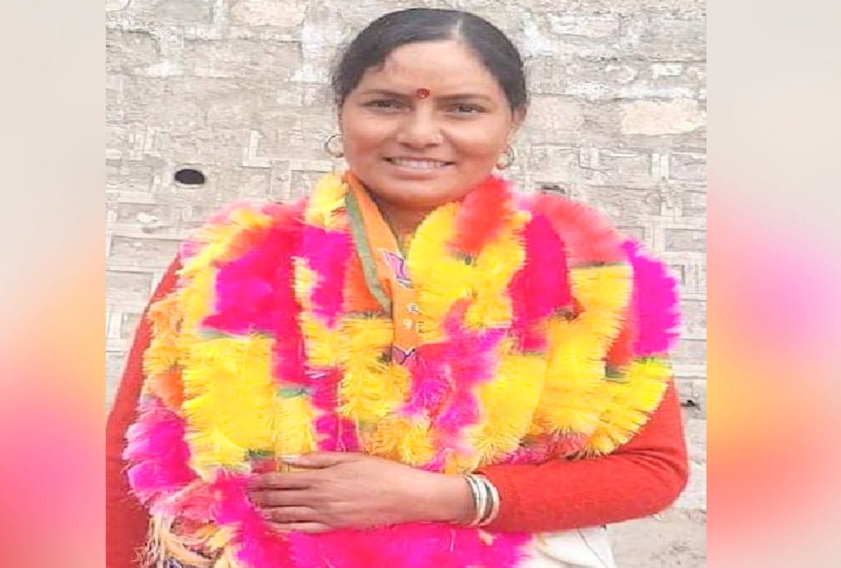 panchayat election news: Asha worker Reshma of  elected BDC member from Palchan Panchayat kullu himachal