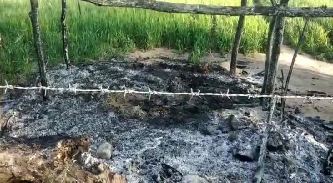 sibling burnt alive in amaukheda