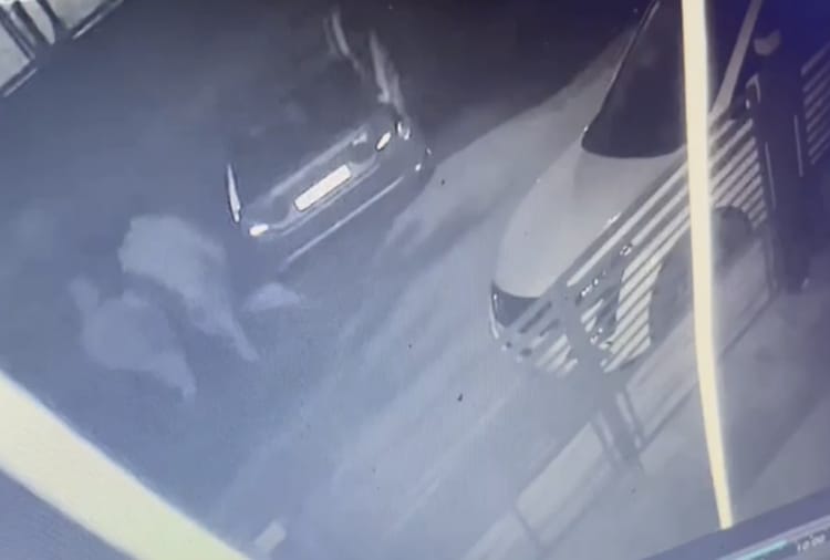 Chandigarh : Theft by breaking glass panes of Car has been reported