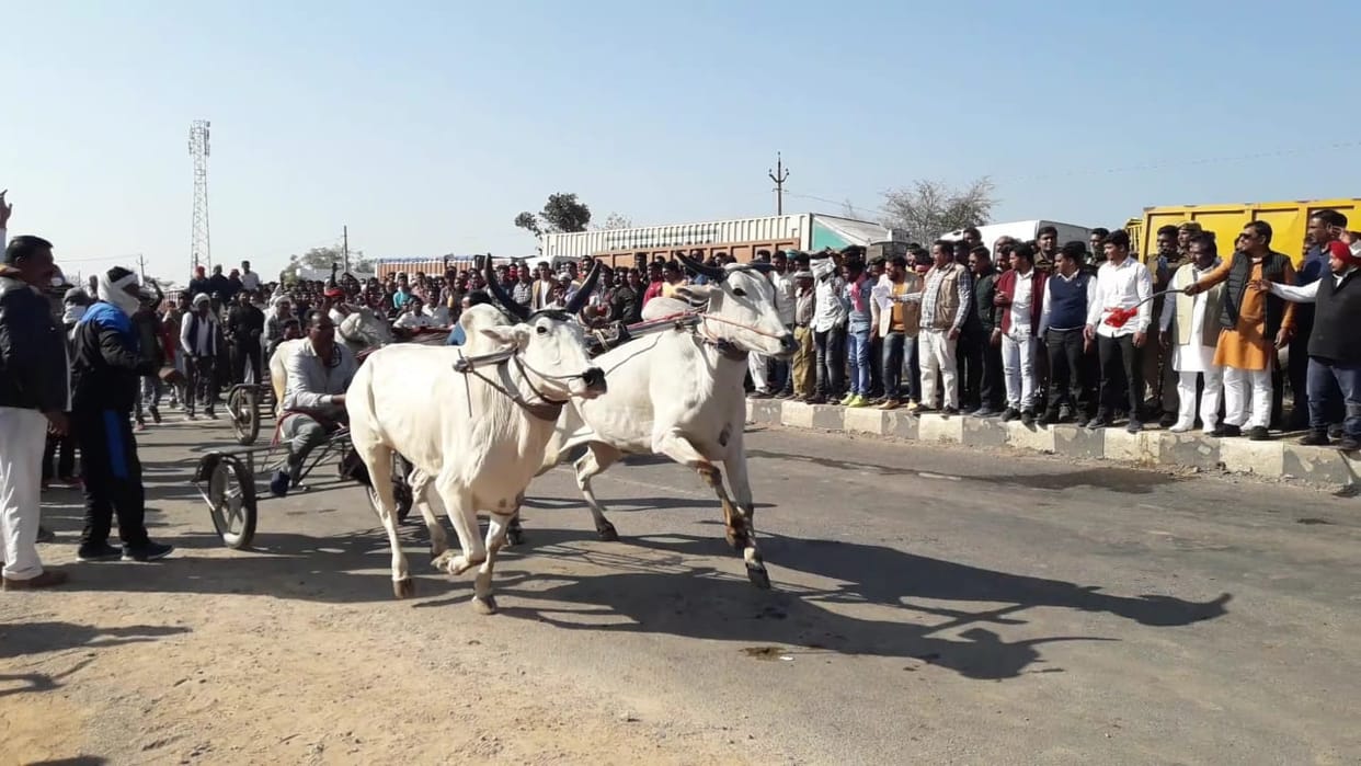 Jeetu yadav bailgadi run fast