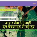 fake aadhar website