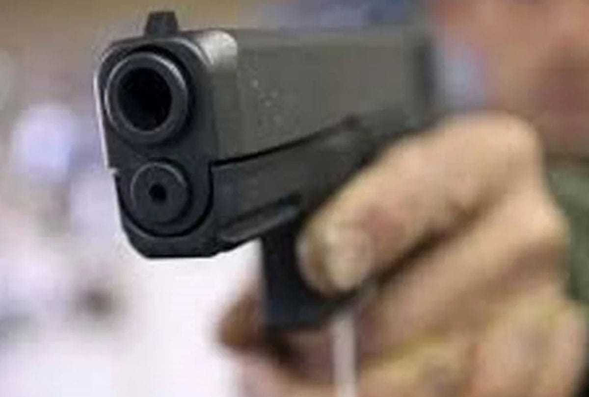 Arms license forgery: Investigation of fake cases registered