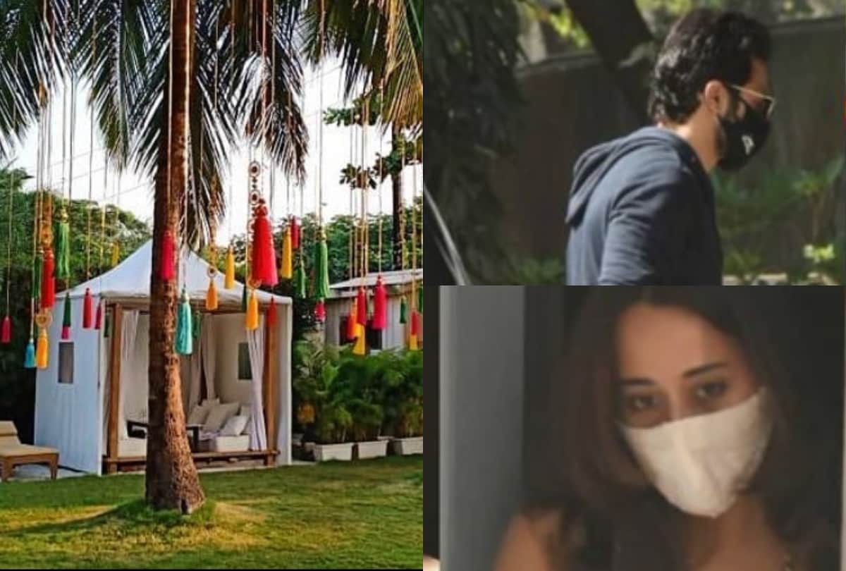 Varun Dhawan and Natasha Dalal wedding actor spotted at venue in Alibaug