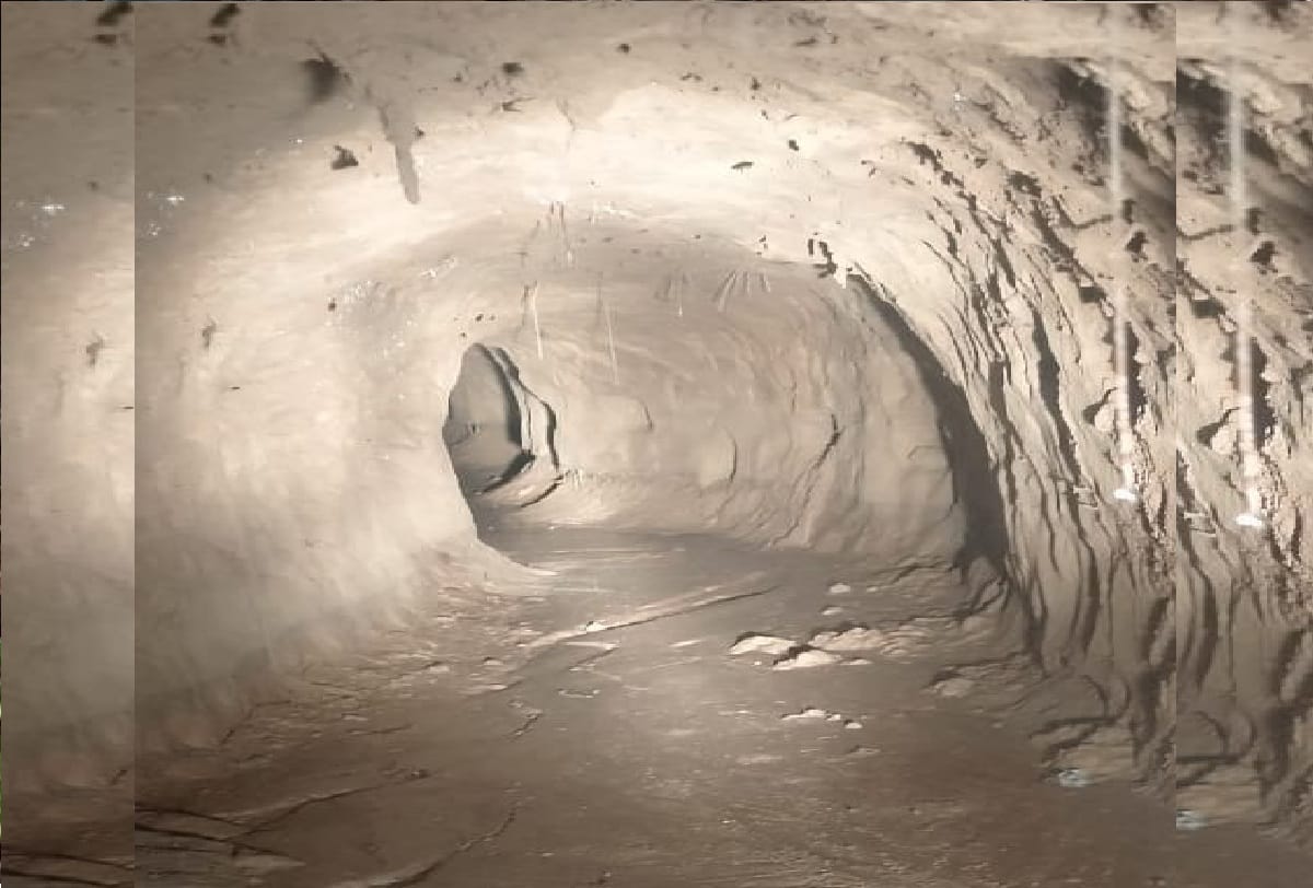 Pakistani tunnel detected by BSF to Pakistan did it to push terrorists in Jammu kashmir