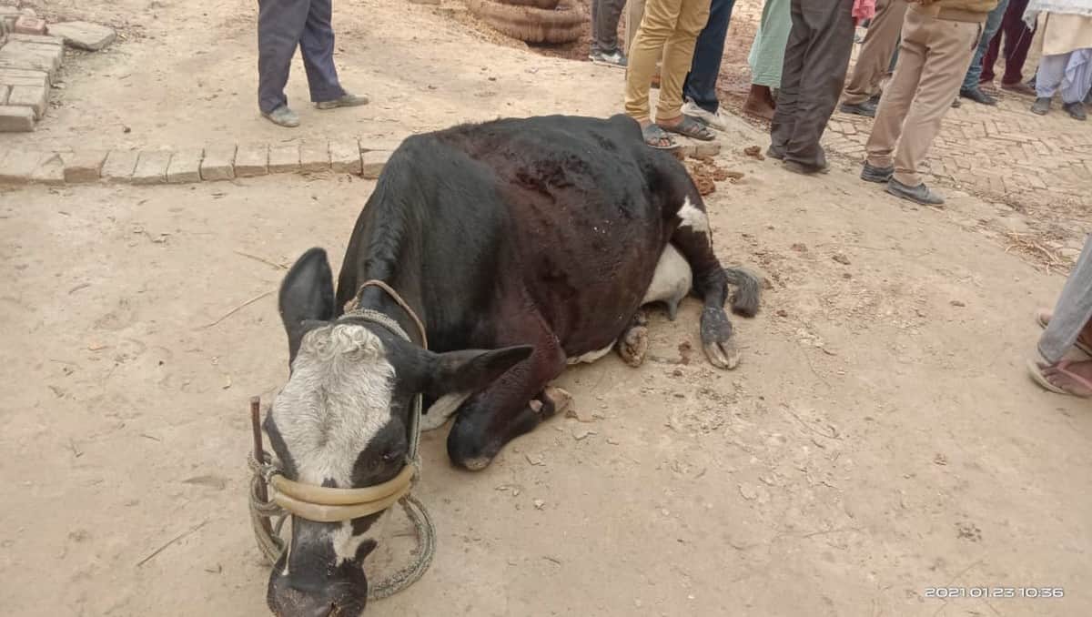 varanasi shooting: man shot father and son in dispute of pual on way