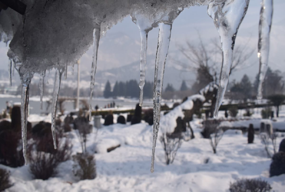 jammu kashmir news: Muslims took the body of Pandit on the shoulder 10 km to the village