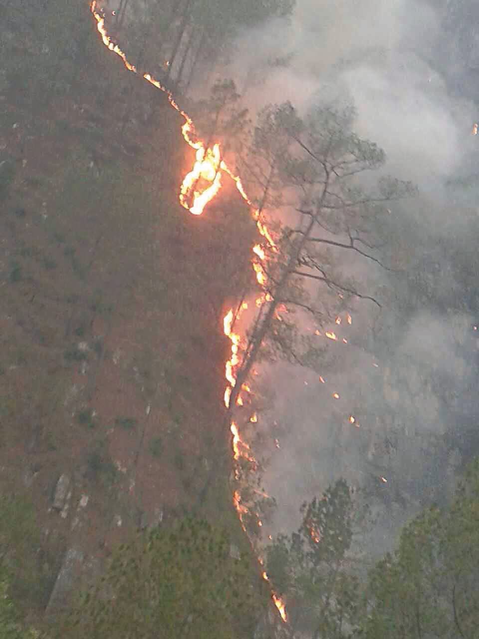Forest fires reach home, mother-in-law and daughter-in-law burn