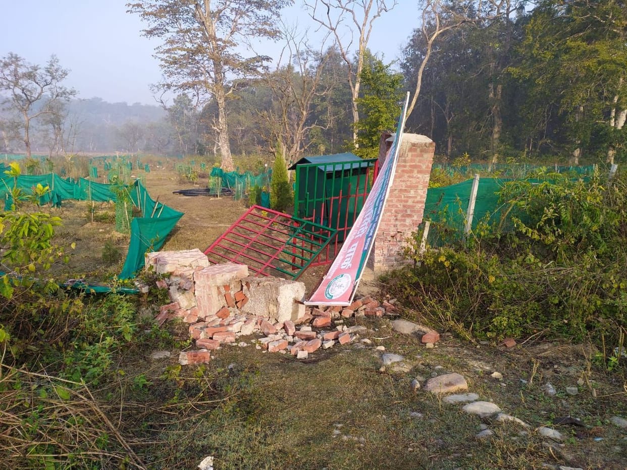 Elephants vandalized in the park