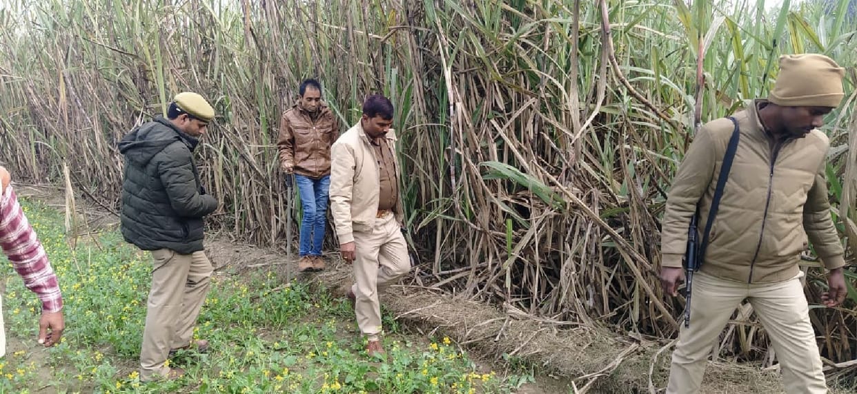 Tigers reach Raghunathpur, panic among villagers
