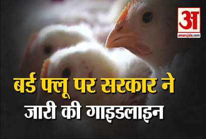 FSSAI Issues Guidelines For Bird Flu