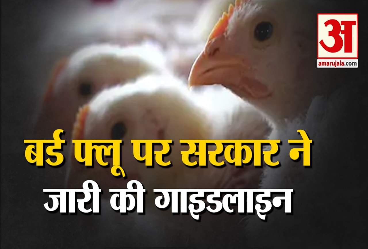 बर्ड फ्लू