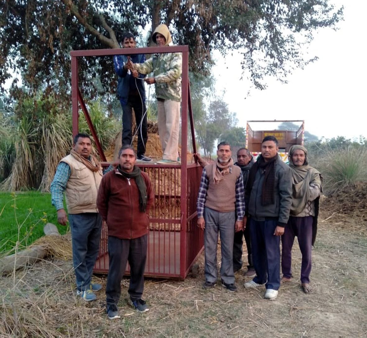set cage to caught tiger