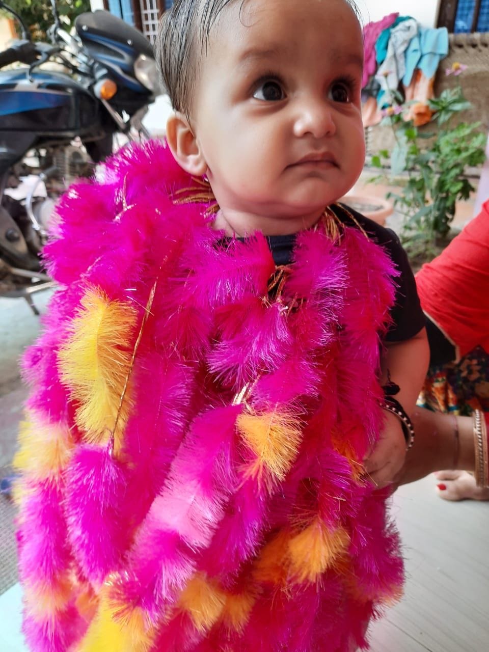 girl child  make honour in home