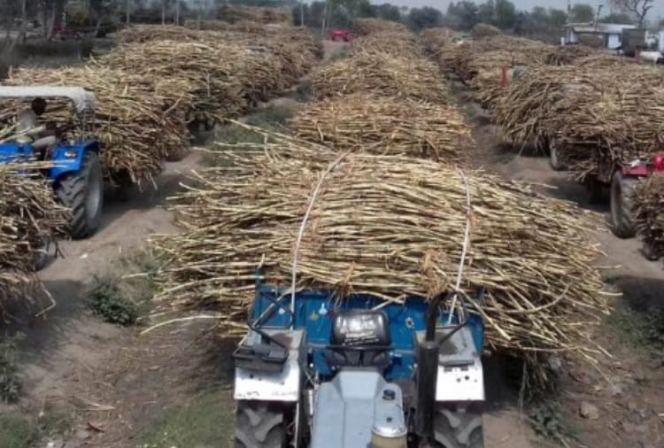 Manual slip system ends in sugarcane purchase in Haryana