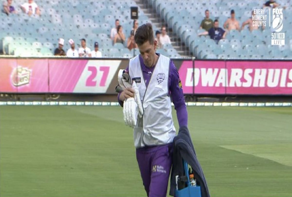 Australia captain Tim Paine hilariously trolled for waterboy carrying drinks in BBL 10