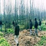 search operation...