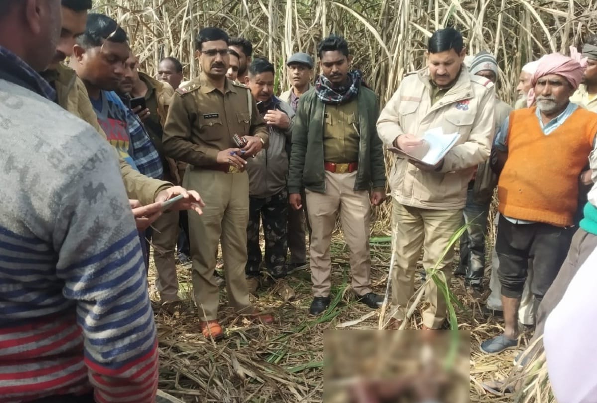Sugarcane worker dead due to attack of tiger half eaten dead body found in field stirred up