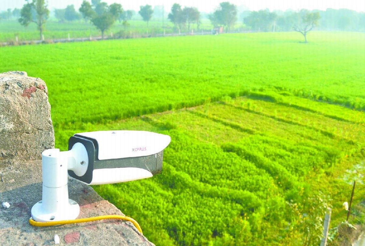 Farmers monitoring the crops with CCTV cameras in agra