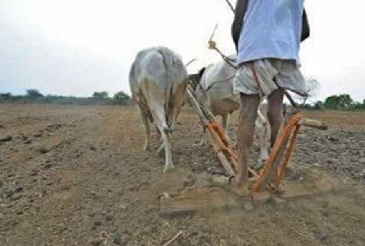 Know about three big challenges of farmers of Uttar Pradesh.