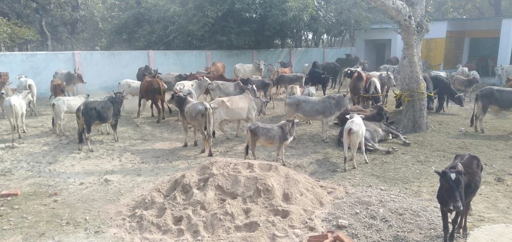 farmers,anna animal,fathepur news,shutdown,in school