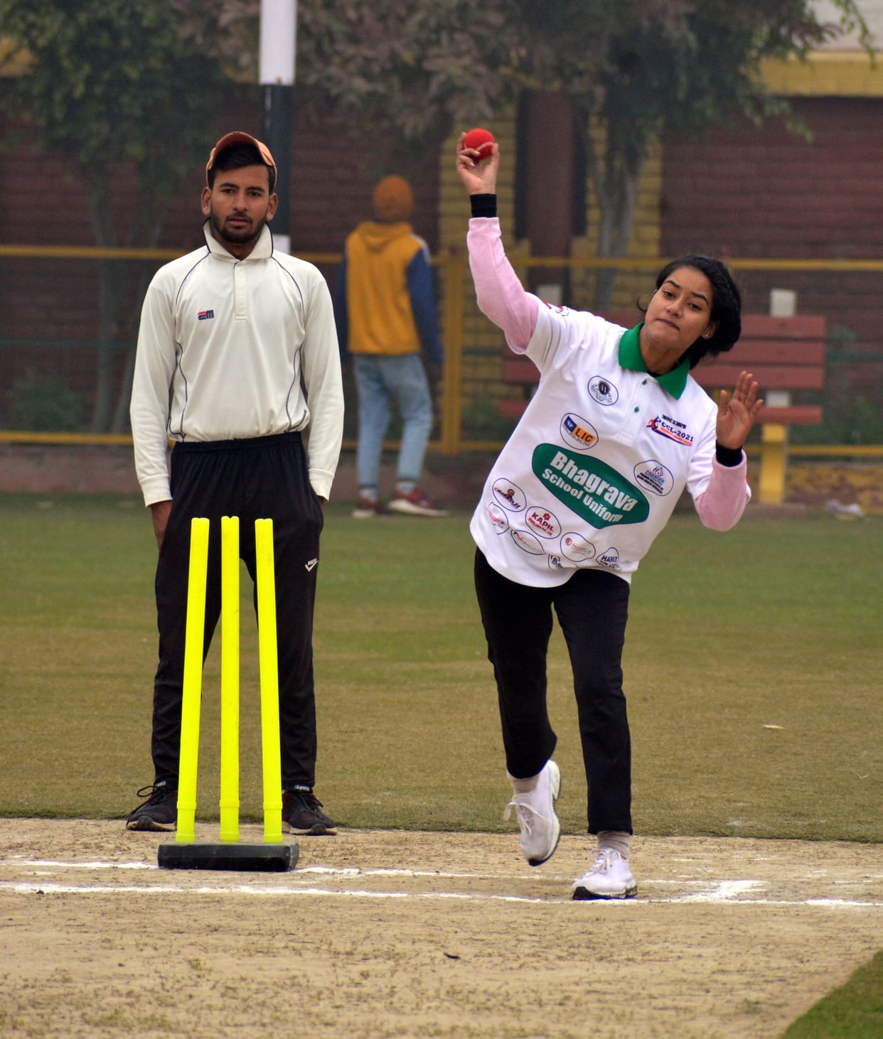 Celebrity Cricket League