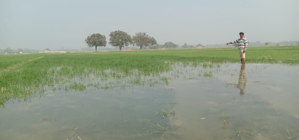 field,overflow,fathepur news,minor,sarasai