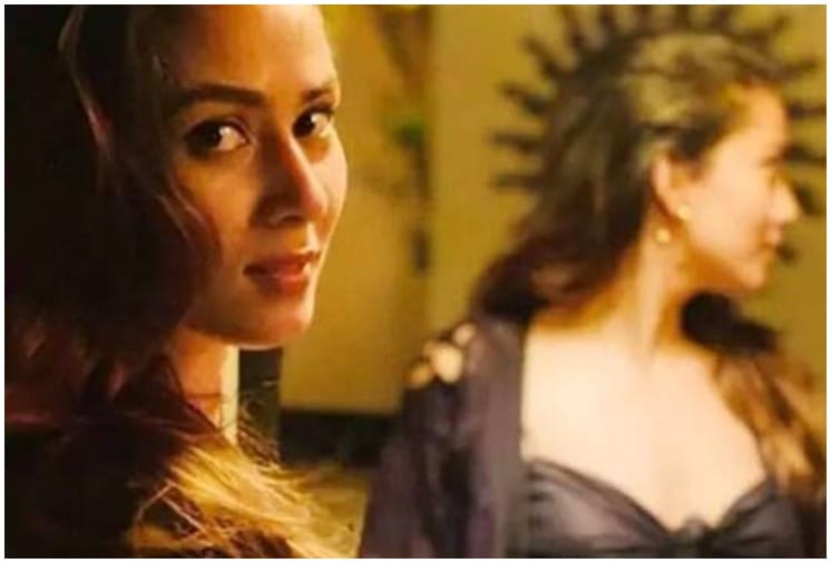 New pictures from Shahid-Mira's romantic Goa vacation go viral