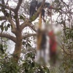 प्रेमी-युगल ने लगाई फांसी