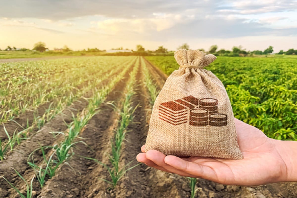 Krishi Tips how to find difference between good and bad fertilizer know the method