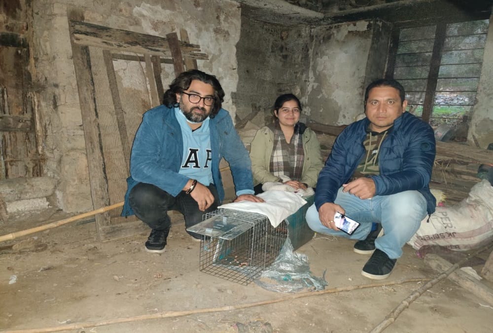 Bangalore Couple Spent More Than Two lakh Rupees for find the Missing cat in nainital