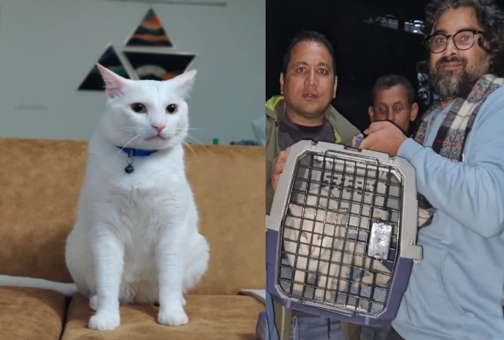 Bangalore Couple Spent More Than Two lakh Rupees for find the Missing cat in nainital